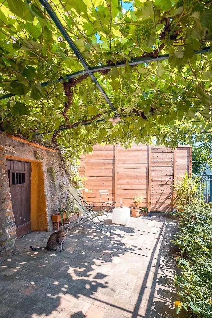 Appartement Avec Terrasse Lyon 0*,